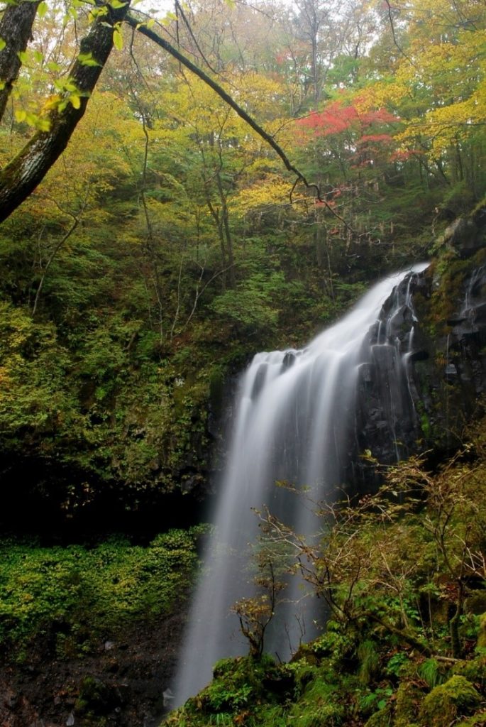 日光霧降高原の紅葉を求めて