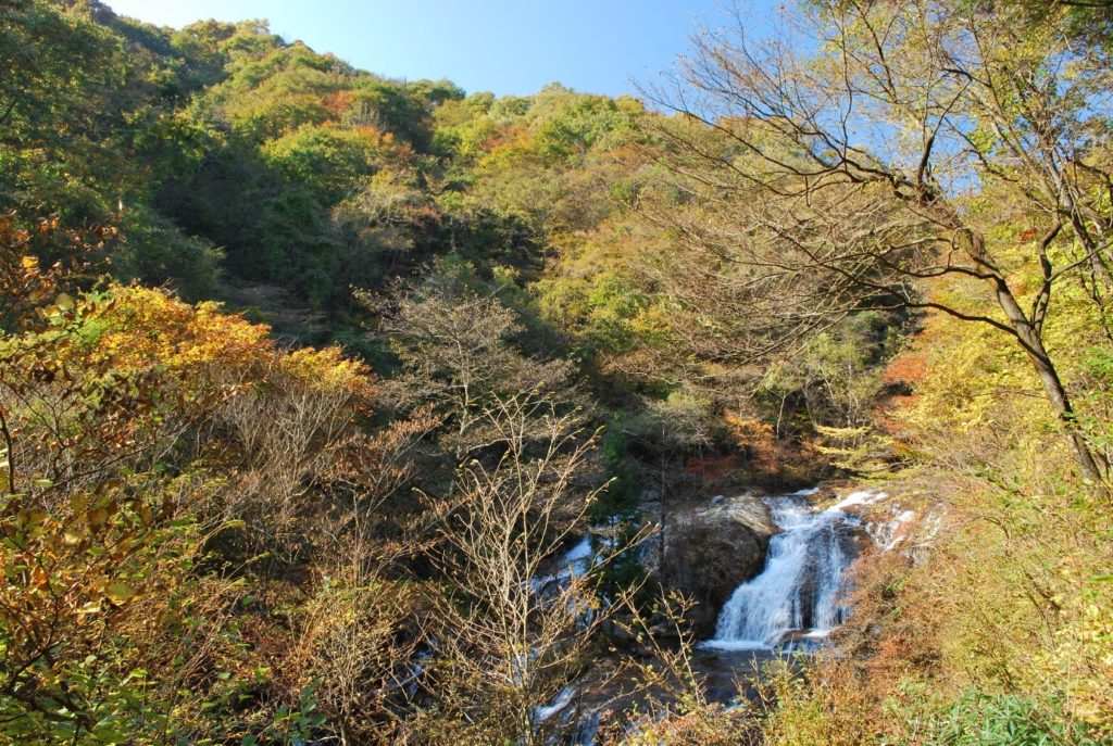 日光霧降高原の紅葉を求めて