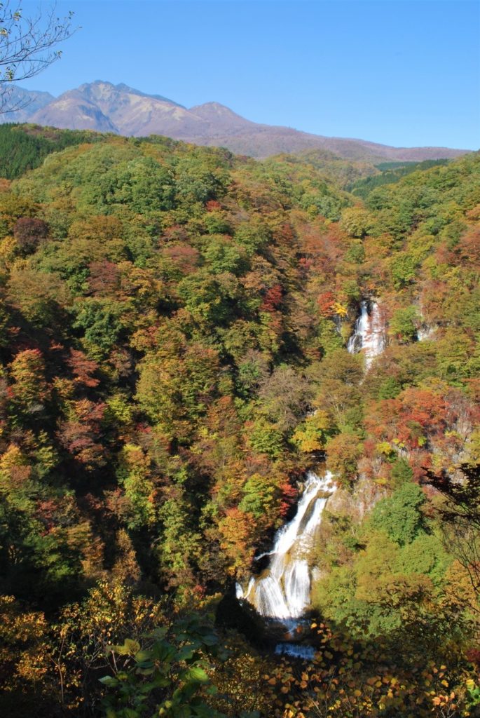 日光霧降高原の紅葉を求めて