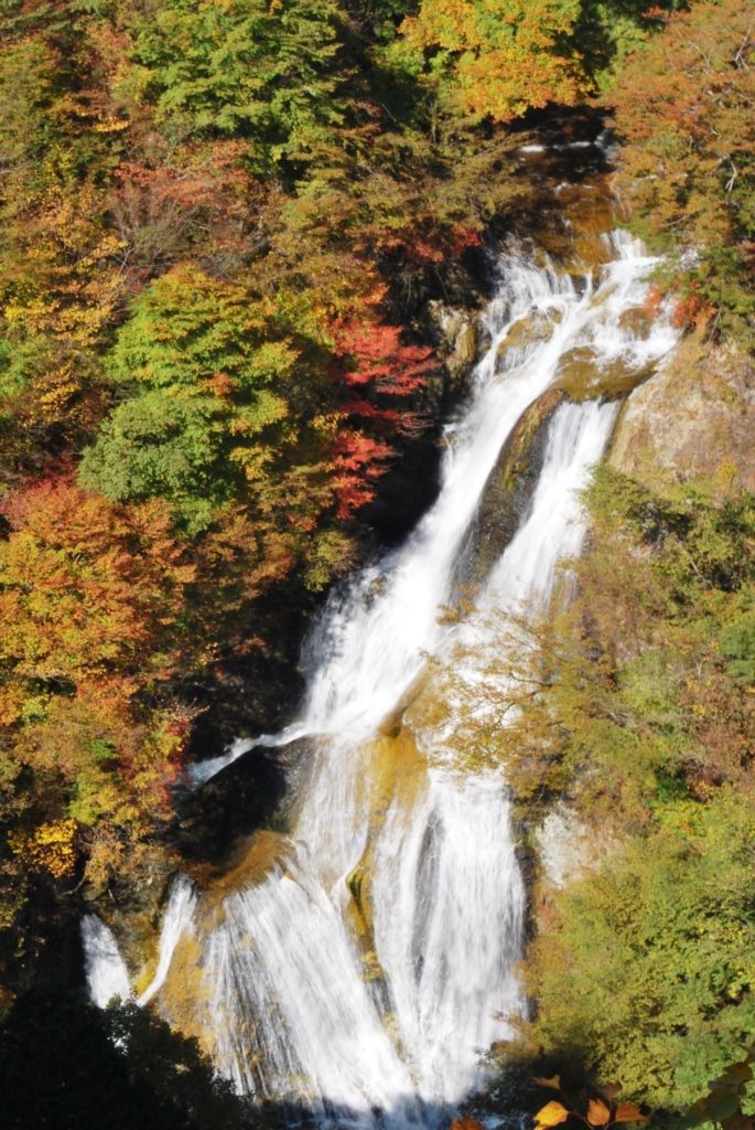 日光霧降高原の紅葉を求めて