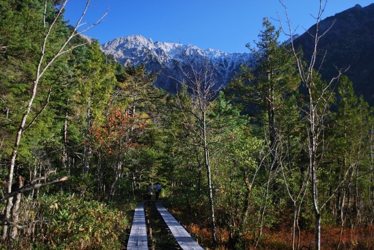 上高地ー紅葉の岳沢への道