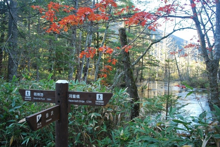 上高地ー紅葉の岳沢への道