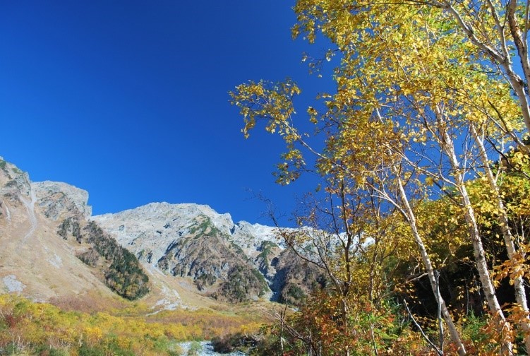 上高地ー紅葉の岳沢への道