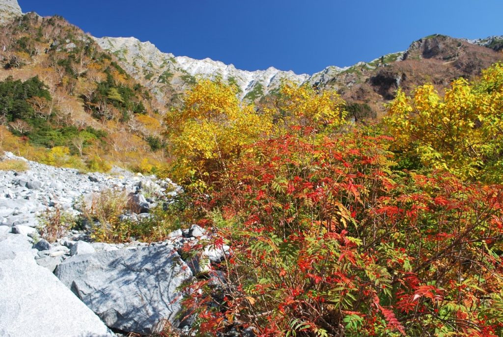 上高地ー紅葉の岳沢への道