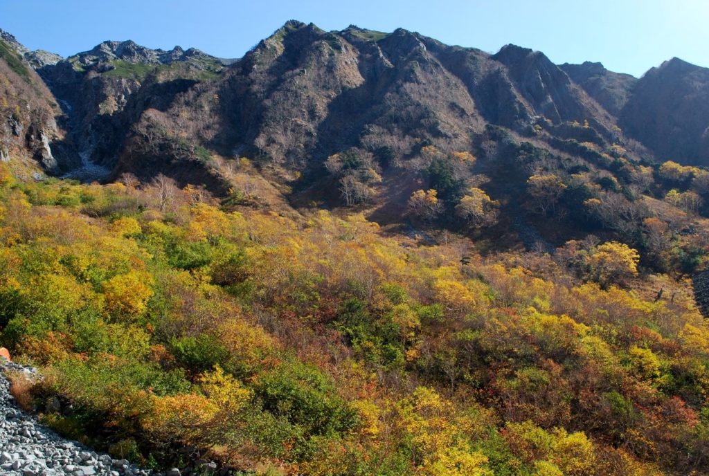 上高地ー紅葉の岳沢への道