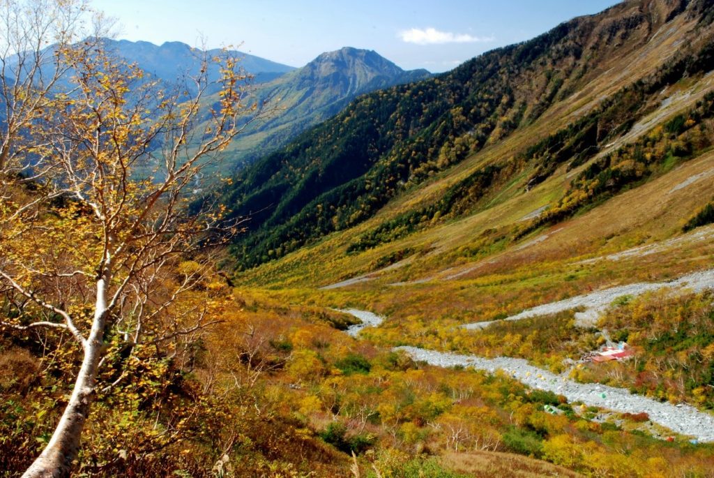 上高地ー紅葉の岳沢への道