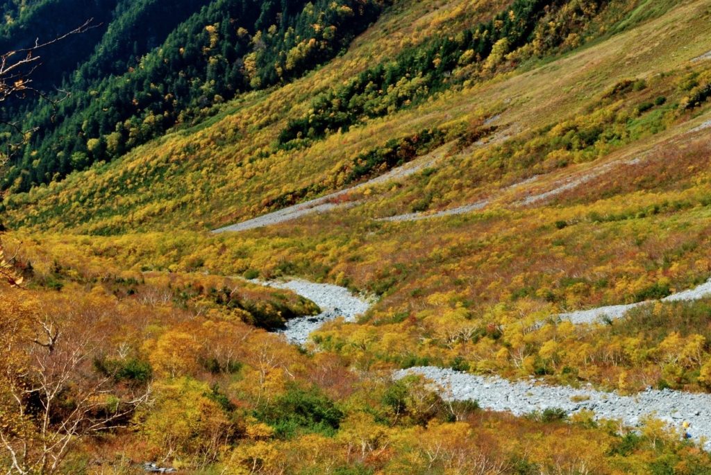 上高地ー紅葉の岳沢への道