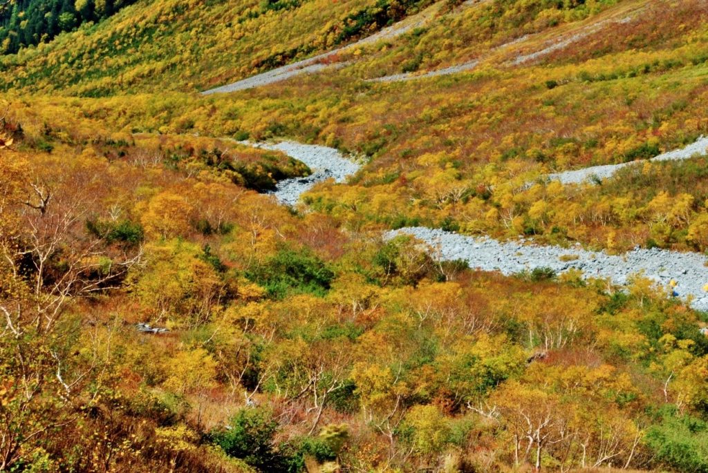 上高地ー紅葉の岳沢への道