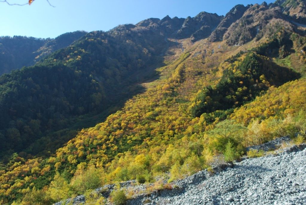 上高地ー紅葉の岳沢への道