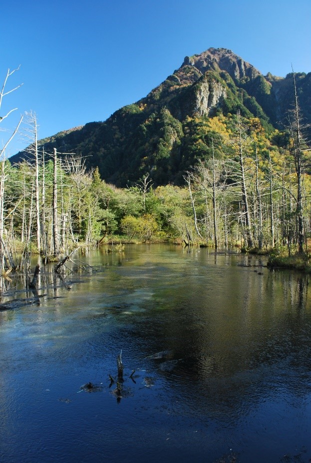 上高地ー紅葉の岳沢への道